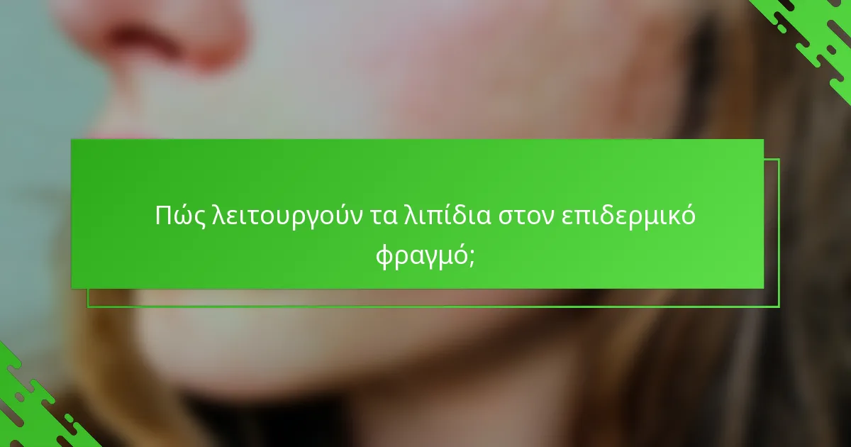 Πώς λειτουργούν τα λιπίδια στον επιδερμικό φραγμό;